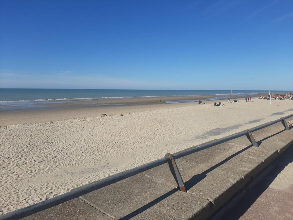 Villa 100 M Du Touquet Entre Foret Et Mer 屈克 外观 照片